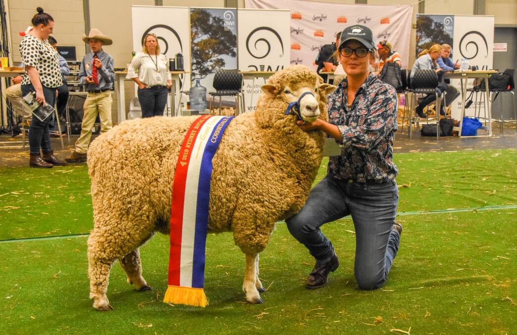 The grand champion ewe from Roseville is held by Leigh Manchester. 
