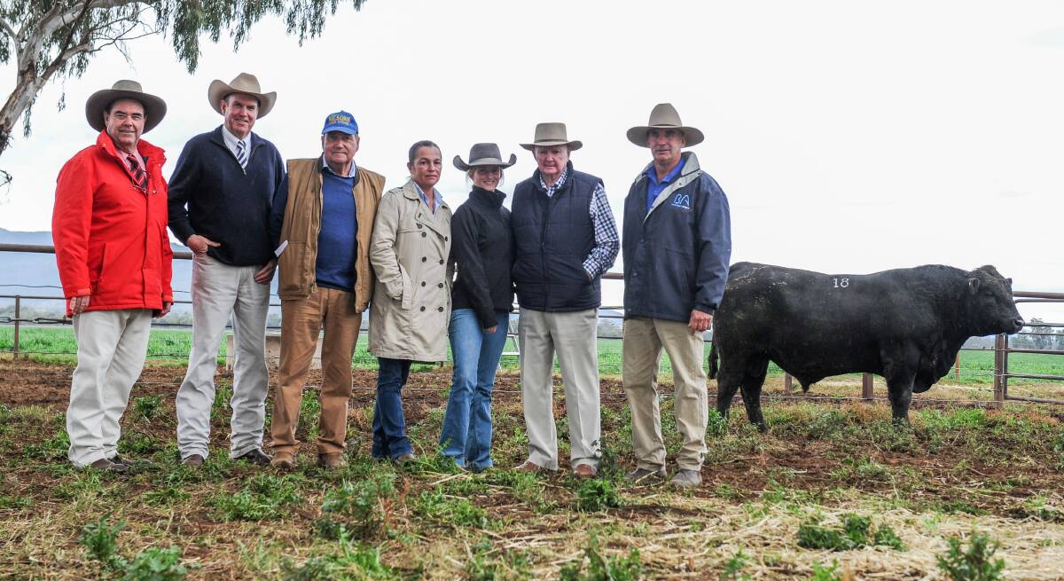 Elders agent Brian Kennedy, auctioneer Paul Dooley, Mike Wilson of Mike Wilson Studstock and Bloodstock and his clients Kelly Harvison, Jessica Martin and Gordon Martin who purchased the top price bull with vendor Tim Vincent. 
