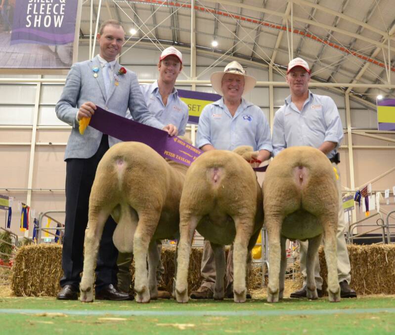 LEFT: The Peter Taylor Memorial Trophy, the supreme accolade for the meat and dual purpose breeds at the Sydney Royal Show, was awarded to James, Graham and Martin Gilmore, Tattykeel, Oberon. 