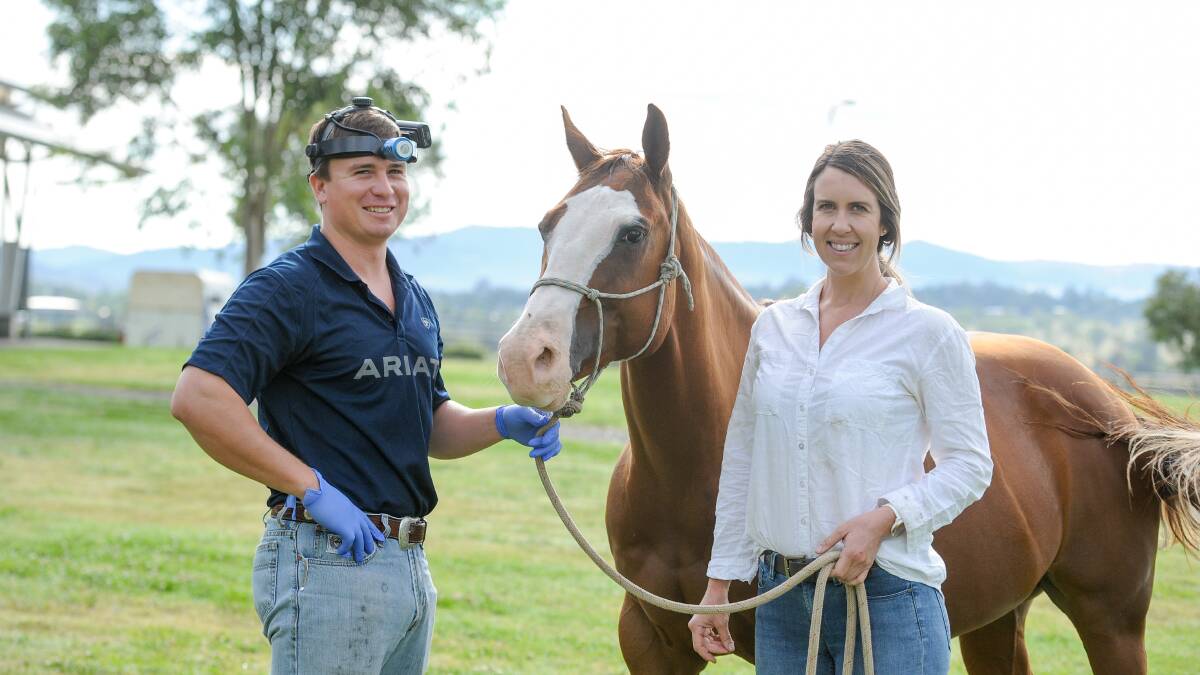 Equine dentistry students Jacob Dunn, WA, and Jess Hagedoorn, Queensland, were in Tamworth this week to complete their studies. Photos: Lucy Kinbacher