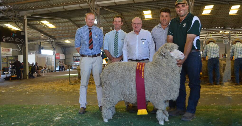 Judges Will Stewart, George Henderson, Max Rayner and Drew Chapman admire the junior champion ewe paraded by Greg Alcock, Greenland, Bungarby.