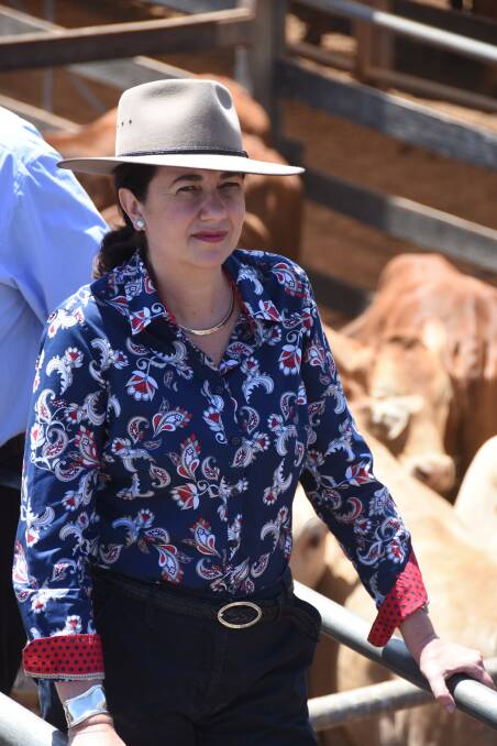 Queensland's premier Annastacia Palaszczuk says people will be able to cross the border from interstate hotspots in time for Christmas - but only if vaccination rates hit targets.