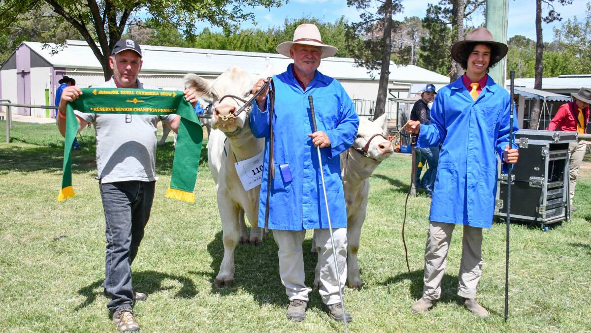 The reserve senior champion female with ribbon presenter Shane Smeathers and handlers Stephen Nicholas and Kade King. 