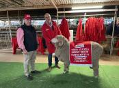 The supreme exhibit of the Queensland State Sheep Show with Elders' Bruce McLeish and owner Garry Kopp.