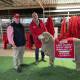 The supreme exhibit of the Queensland State Sheep Show with Elders' Bruce McLeish and owner Garry Kopp.