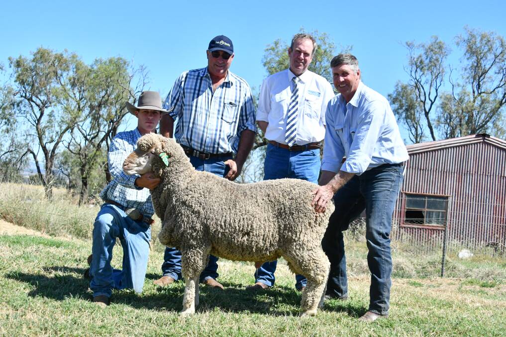The top price poll ram is held by Angus Capel with Pete Capel, auctioneer Paul Dooley and buyer Rohan Clark, Appledore Pastoral, Barraba. 