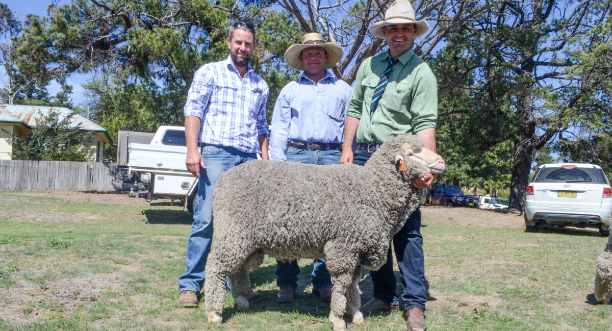 Simon Barr, Meadowview Merino Stud, Henty, vendor Michael Hedger and Damian Roach Landmark, Cooma, with the second top price ram.