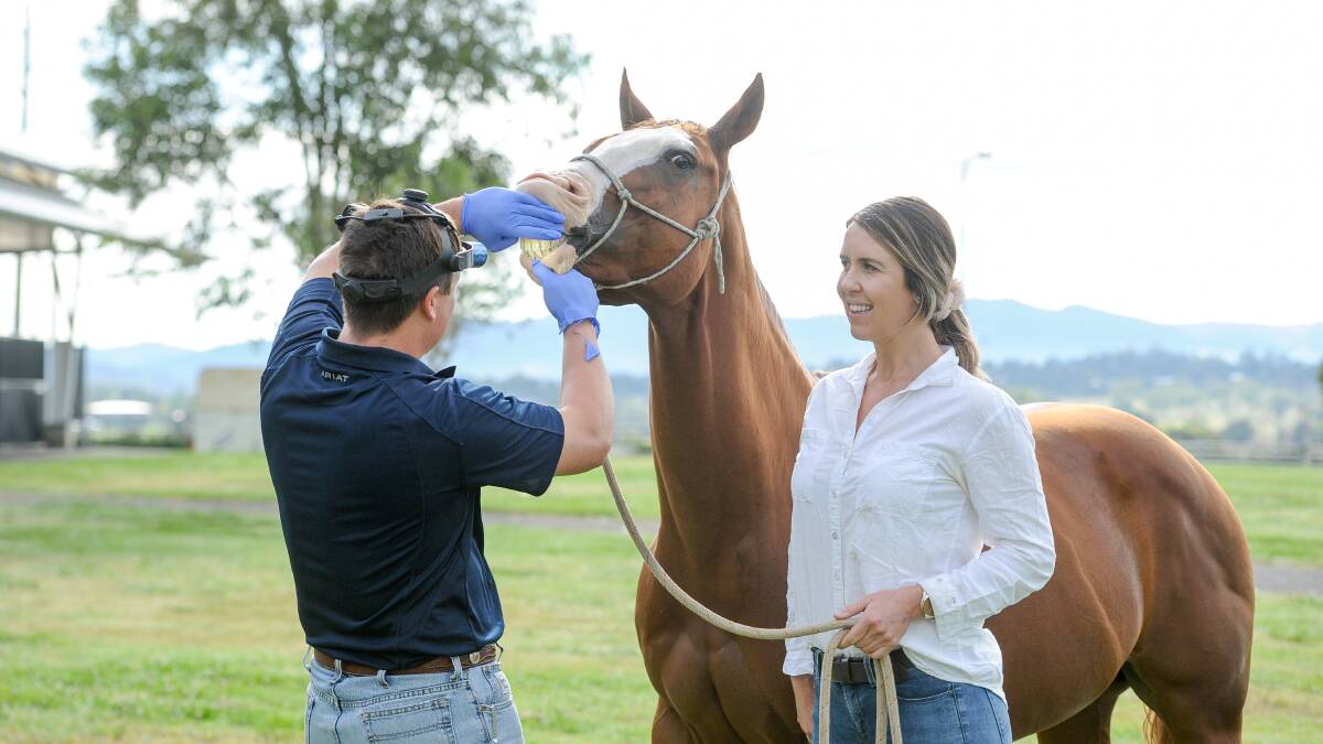 First crop of horse dentists graduate in Tamworth