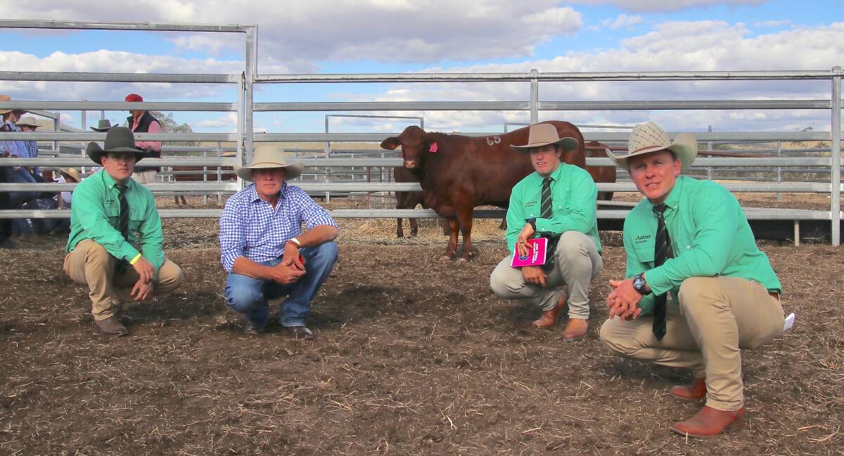 The $19,500 Goolagong Q2 with Nutrien Toowoomba representatives, Dane Pearce, Andrew Costello and Colby Ede and Scott Ferguson, Santa Central Sale, Clifton, Queensland. Photo: Santa Central Sale Group