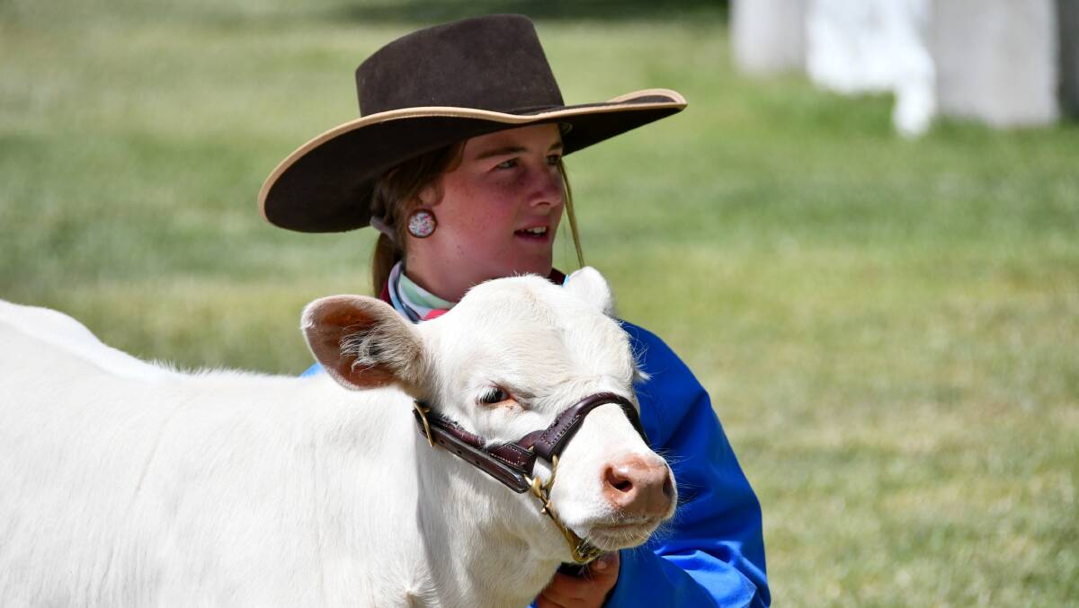 Lacey Quinn of Tumut High School with one of their calves, Ryce Rocket, on a cow and calf Charolais entry. 