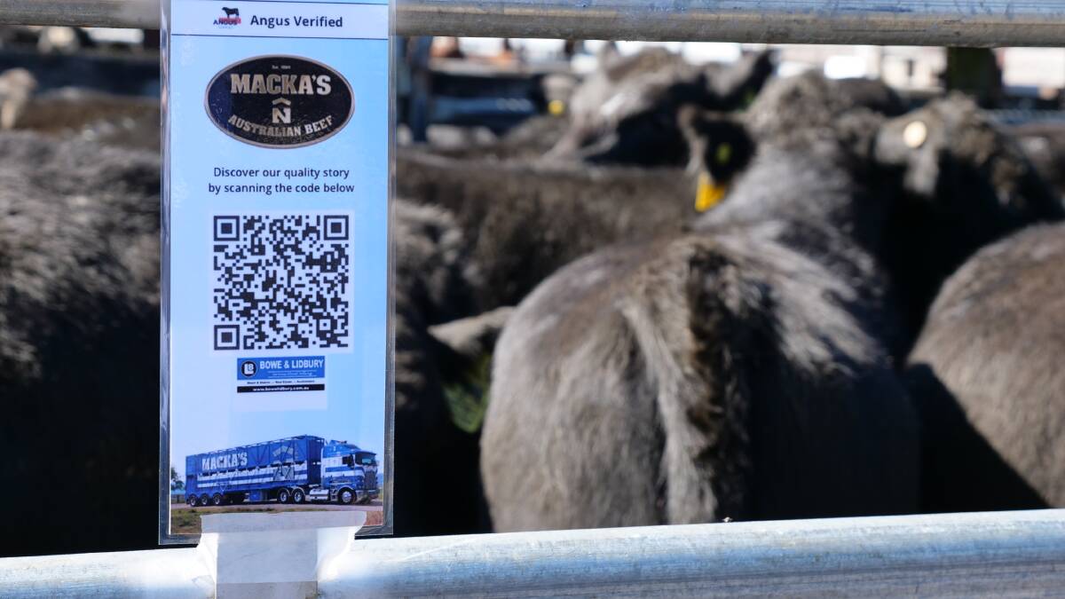 Buyers could scan a QR code to be provided with the latest health treatments, age and pedigree of the steers. 