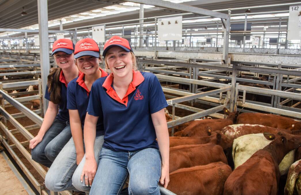 Calrossy year nine students Courtney Trembath, Isabelle Burke and Claire Seis with the school's Shorthorn heifers, which made $1010 a head at the Tamworth store sale on Friday. 