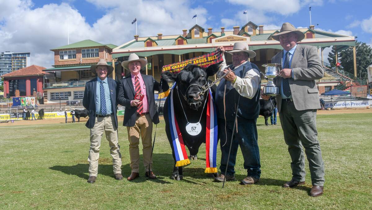 Grand champion bull, Irelands Ramco, with judge Ted Laurie, Knowla Livestock, Moppy, Elders agent Andrew Meara, owner Stephen Hayward and Angus Australia CEO Scott Wright. 