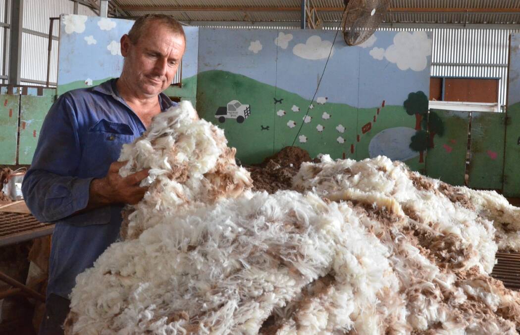 Tony Inder inspects some fleeces off Allendale Merino flock ewes from Nyrang, Wellington, and Malabar, Walgett. Photo: Mark Griggs