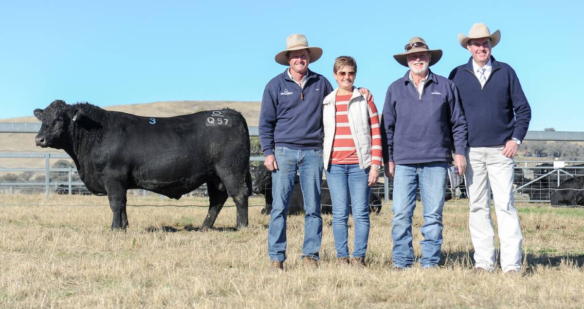 The $30,000 Heart Nectar Q57 with vendors Chris and Natalie Paterson, Fred Paterson who was bidding on behalf of top price buyers, the Hanigan family, Hollywood, Coonamble, and auctioneer Paul Dooley. Photo: Lucy Kinbacher