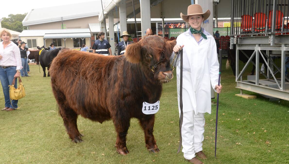 Xanthe Hart, Barraba, with the Highland steer, Tigger, from Frensham school who was exhibited in the led steer competition. Picture: Rachael Webb
