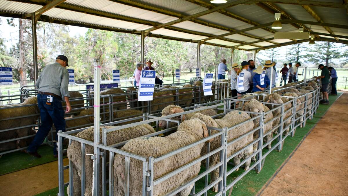 Airlie Merinos attract new and old buyers