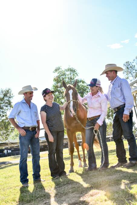 The filly was bound for a loving new home. Picture: Lucy Kinbacher