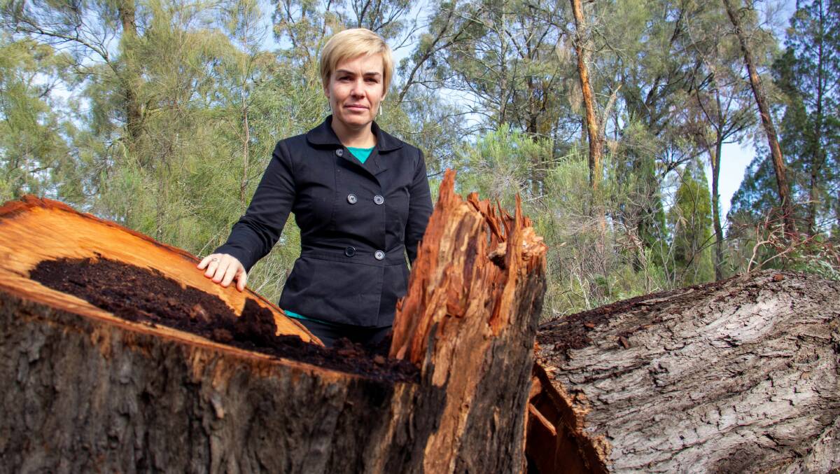 Local Land Services TSR team leader Peta Holcombe is reminding people that taking wood from TSRs is illegal. 