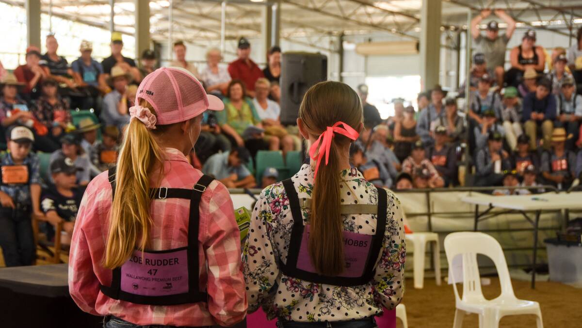 The Upper Hunter Beef Bonanza will present several educational webinars and the 2020 Virtual Junior Judging Competition. Generic file photo. 