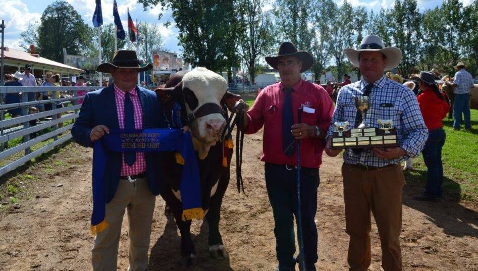 The supreme beef exhibit of the show, Little Valley Thunder, with judge Tyson Will, exhibitor Doug Bennett and judge Elwyn Croake. 