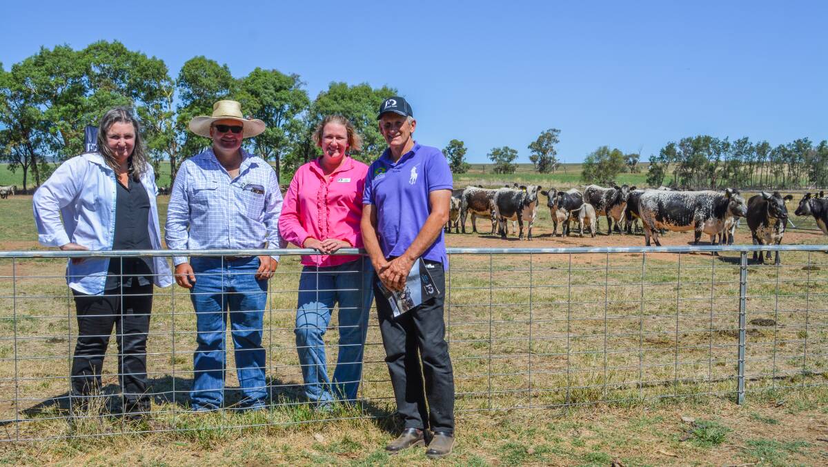New Zealand Speckle Park breeders Sarah (right left) and Martyn (far right) Forsyth, Clevedon, made a last-minute decision to attend the Why Speckle Park field day hosted by Justin and Amy Dickens (centre) at JAD Speckle Parks, Yeoval, last Friday. 