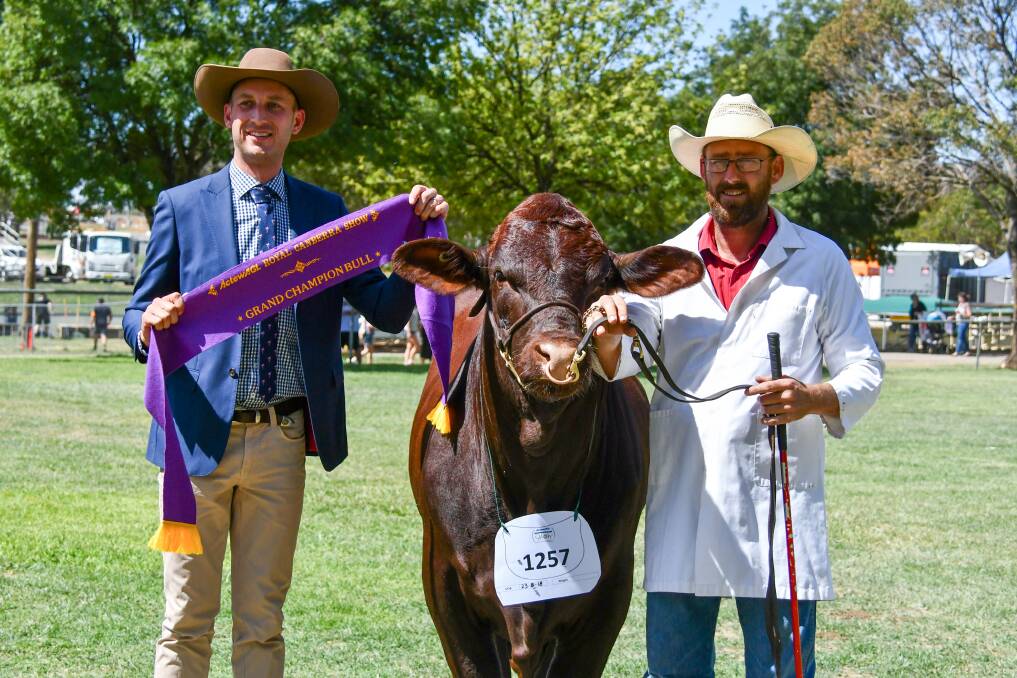 Judge Sam Hunter with the junior and grand champion bull, Hutt River Pancho P01, held by Martin Hutt, Cowra. 