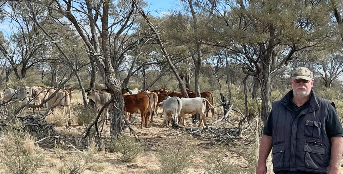Landholders for Dingoes spokesperson Angus Emmott runs cattle across more than 52,000 hectares at Noonbah in western Queensland. Photo supplied by Angus Emmott