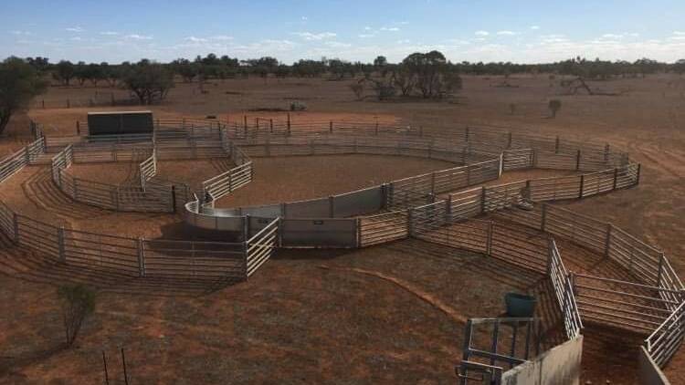 At least six sheep yards have been upgraded recently. 