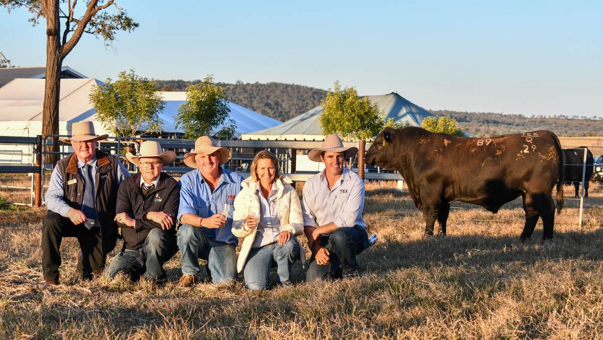 The second top price bull at $42,000 was purchased by Little Meadows, Dardanup, Western Australia. Pictured is GDL's Harvey Weyman-Jones, GTSM auctioneer Michael Glasser, vendors Ben and Wendy Mayne and Texas cattle overseer Hayden Chappel. 