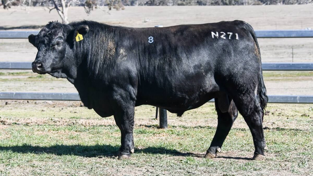 The $14,000 top price bull was bound for South Australia. 