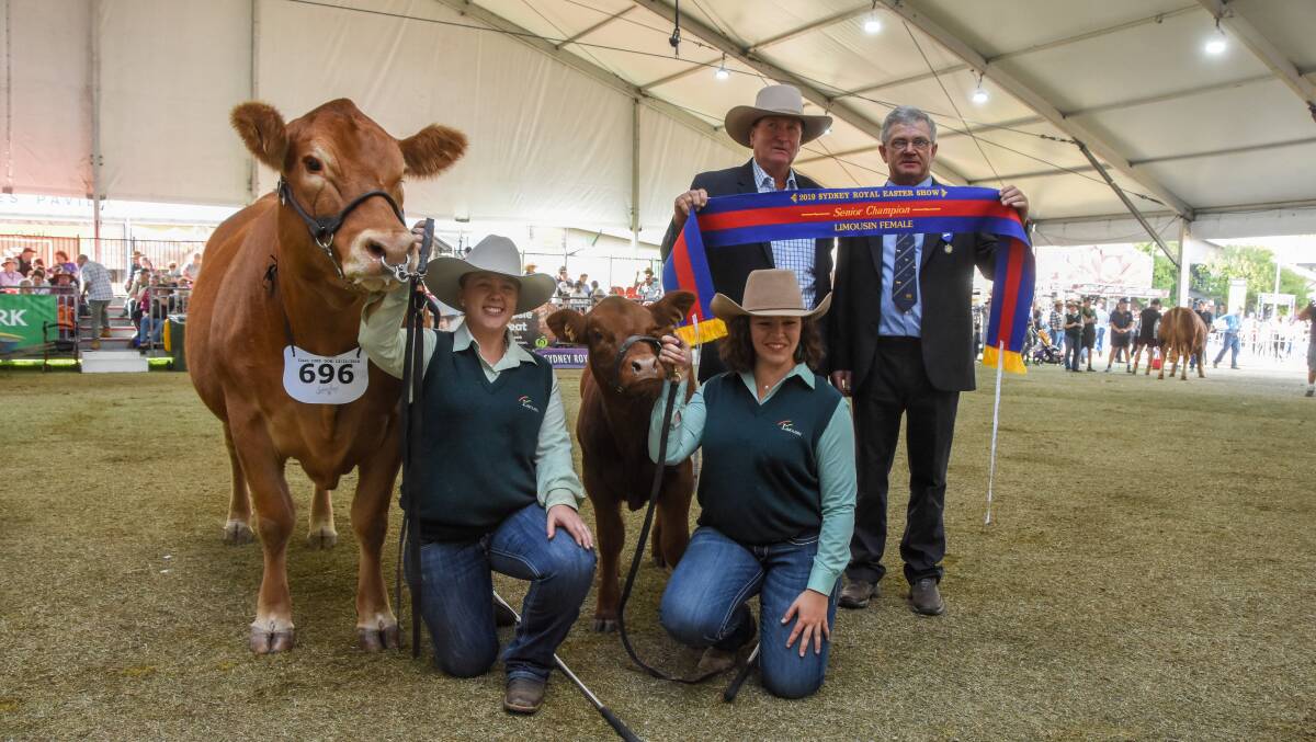 The senior and grand champion Limousin female, Warrigal Foxy Lady M22, with handlers Rachel Relf and Kate Johnston with ribbon presenter Don Riley and judge Gerald Spry.