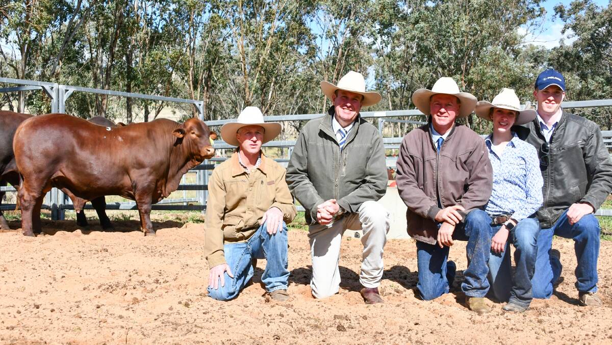 The $64,000 Watasanta Oh My Goodness with buyer and Hardigreen Park stud manager Col Patterson, auctioneer Paul Dooley and happy vendors Neil, Meg and Jack Watson. 