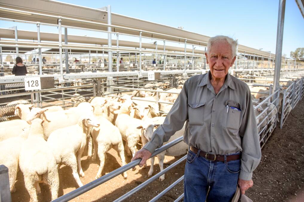 Bruce Cooper, Warminster, Somerton, with 20 of his prime lambs he sold in Tamworth on Monday. 