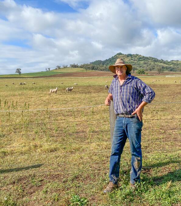 Wallabadah-based producer Martin Gostelow took a "left of field" approach to secure 3500 head from Western Australia costing about $145 (landed). Photo: Supplied