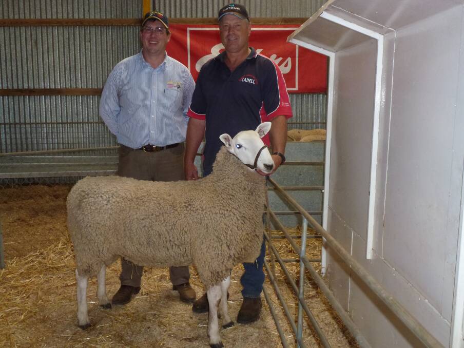 Top price ram buyer Jeff Sutton of Wattle Farm Stud, Temora, with Cadell Border Leicester stud's Rob Harper. Picture: Supplied