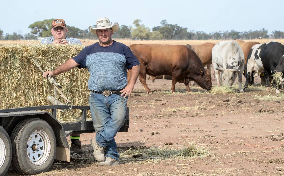 Peter and Tim Kennedy, Nakadoo Rodeo Company, Coonamble, will sell their rough stock at the Coonamble rodeo grounds on Sunday. Picture: Rachael Webb