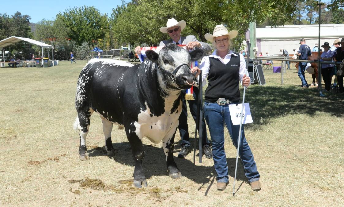 The grand champion Speckle Park bull was Southern Cross Ned Kelly with his owner Angela McGrath. 