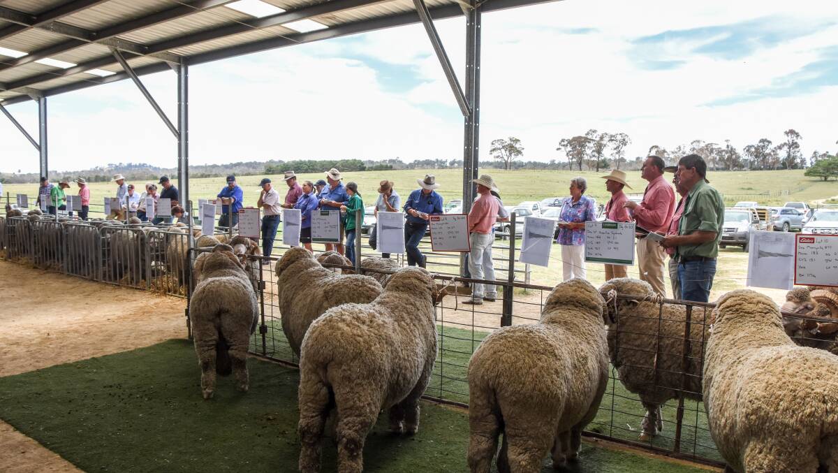 Elders agent Nick Hall said the rams were some of the best seen at the ram sale in some time. They were a line he described as punching out big staple lengths. 