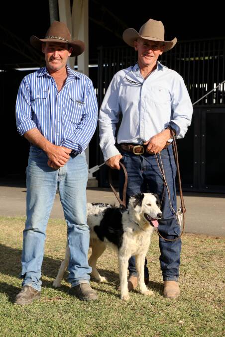 Top price auction dog breeder, Mick Hudson, with buyer Damien Curr and MGH Stella. 