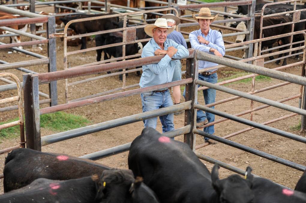Pollock and Cummins agents Leon Cummins and Adam Pollock sold two-year-old Angus heifers and their calves from the Reid family topping at $3600. 
