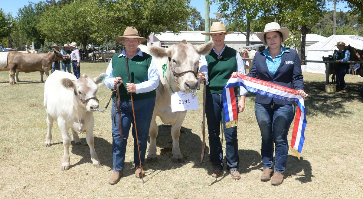 The supreme champion Murray Grey exhibit was awarded to Elizabethfields Gemma K21 owned by Sandra Johnson and Margaret Hunter. Picture: Rachael Webb
