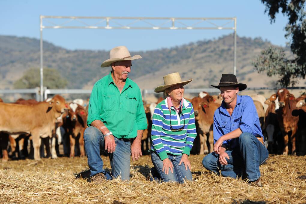 Bill, Vicki and Harold Braun with their retained weaner heifers. 