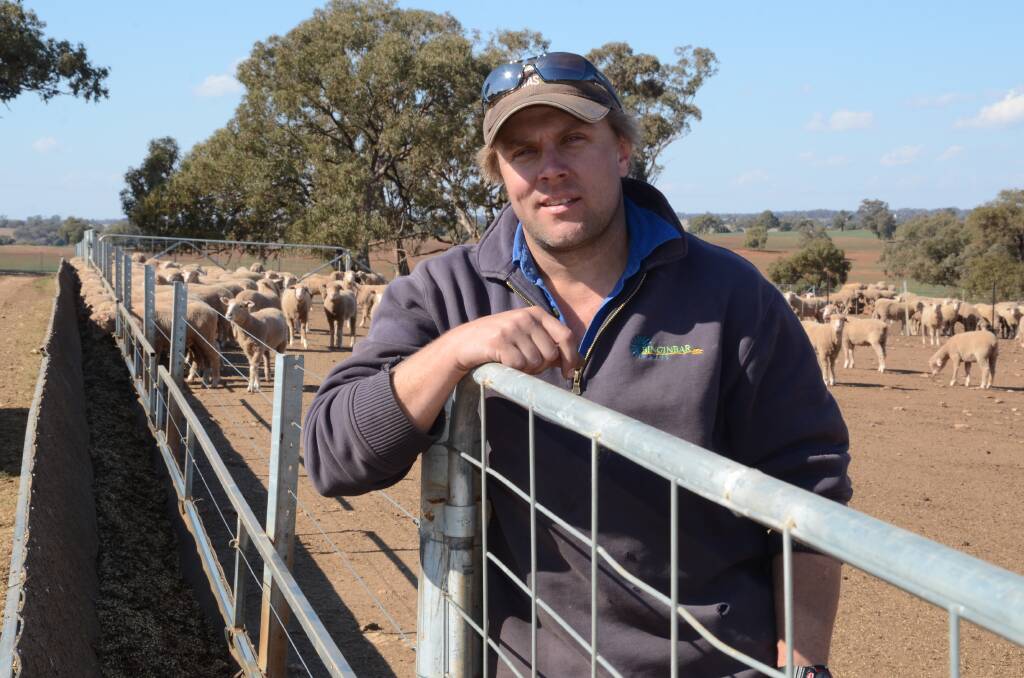 Nathan Simpson with lambs currently fattening in the Binginbar feedlot.