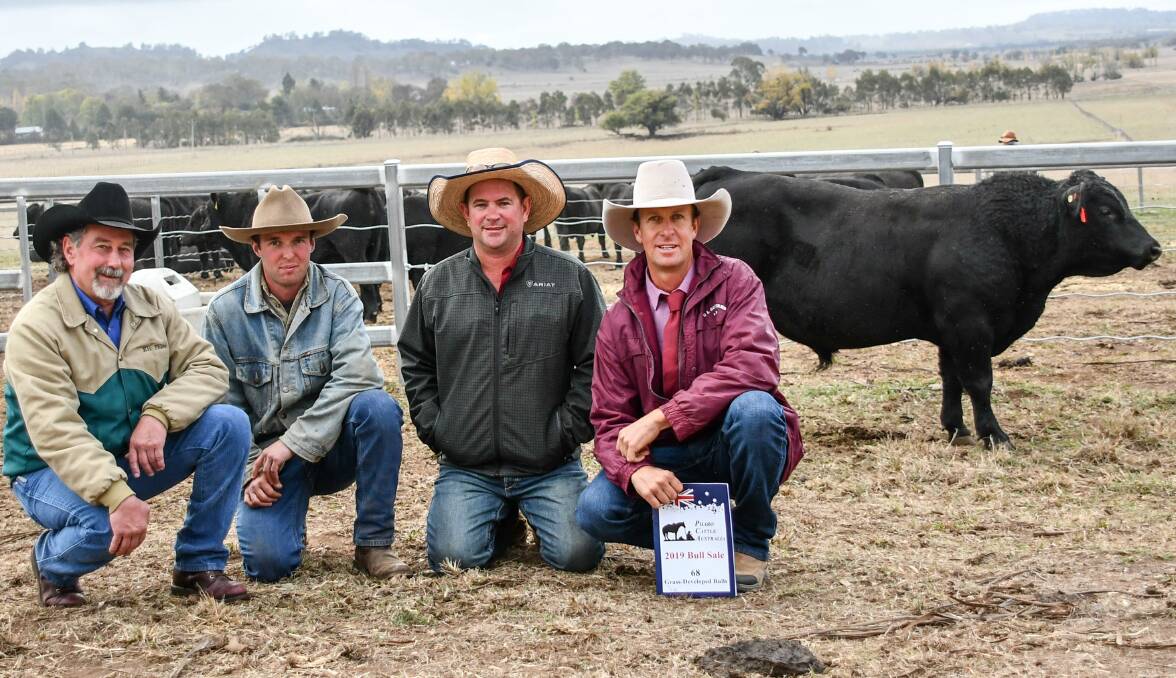 On of the $10,000 top price bulls, PCA Numero Uno N7445, with vendor Kit Pharo, buyer Jason Meier, Danthonia, Inverell, Furracabad Station manager Ryan Usmar, and agent Thomas Oakes of C.L. Squires and Co. 