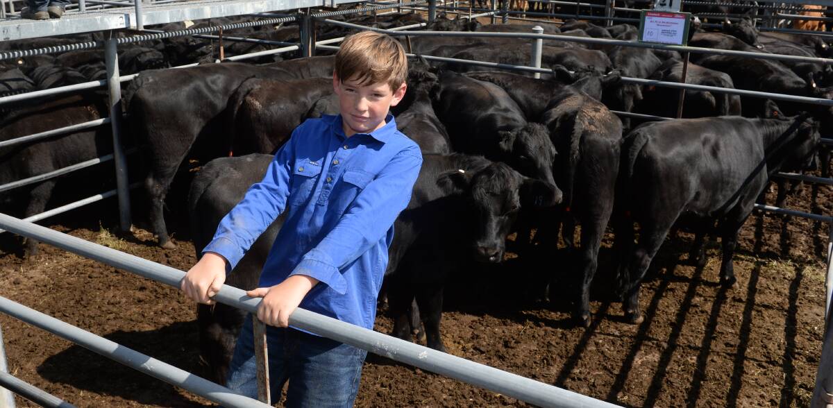 At 12 years old AJ Roche of Arden at Adelong purchased his first pen of heifers, 10 PTIC Angus females to kick start his cattle herd. Picture: Rachael Webb