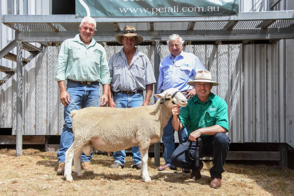 Top price White Suffolk ram at the Petali sale sold for $1100 and is pictured with Landmark Walcha's Miles Archdale, buyer Jerry Rogers, Kentucky Station, Kentucky, on behalf of owner Annie Hutchinson, and Schute Bell Badgery Lumby's Peter Meakes with vendor Martin Oppenheimer. 