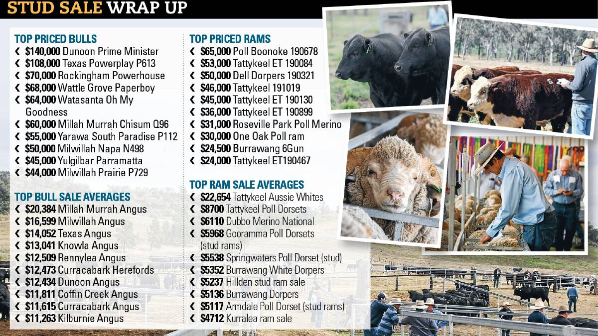 Stud sale results for NSW were well up on last year with some going as far as breaking world records. 