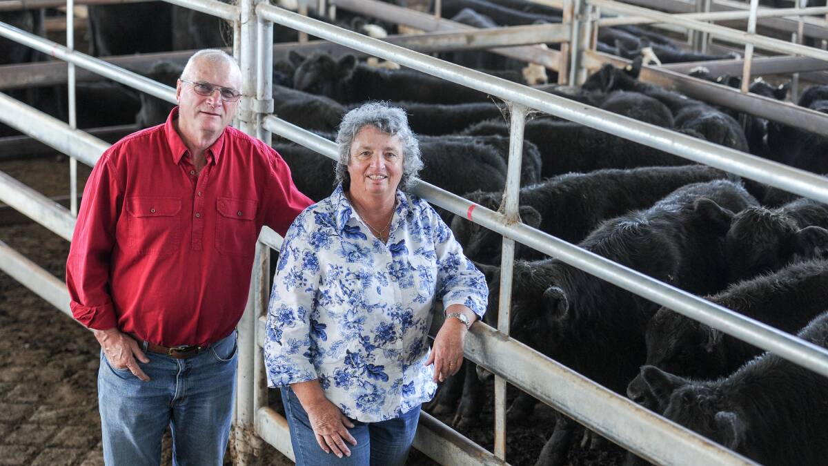 Anthony and Kerry Bull of Byron at Tubbamurra sold Angus steers and heifers at the Armidale sale on Thursday. A pen of 20 220kg Angus steers made 720c/kg. 