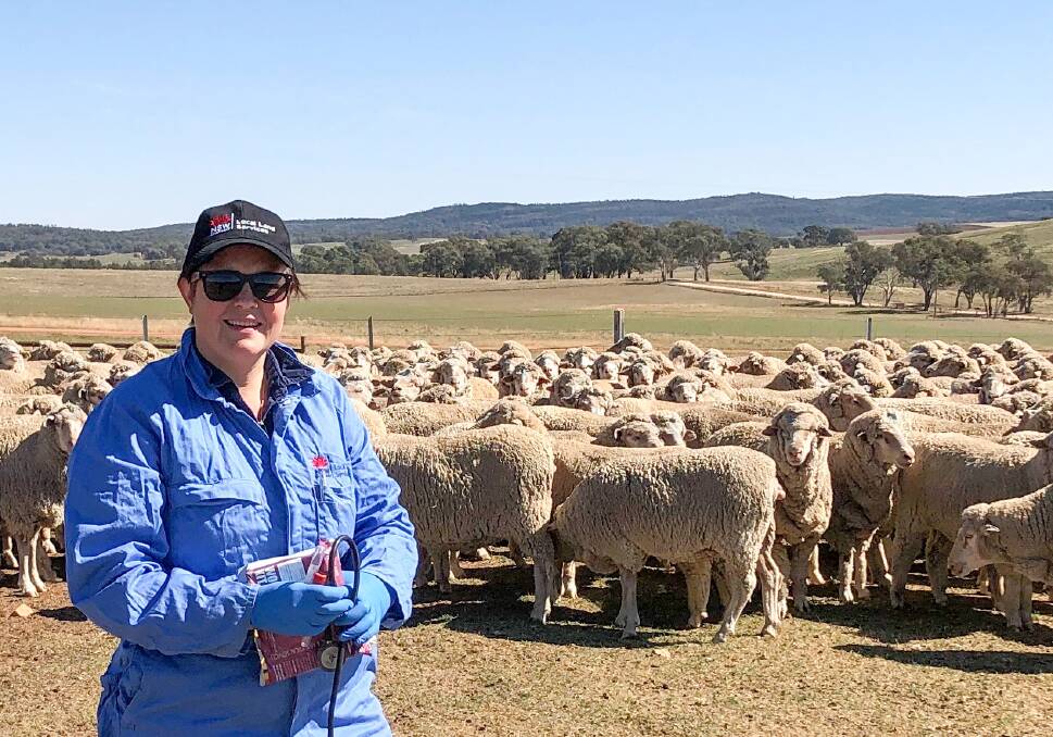 Central Tablelands Local Land Services district veterinarian Lucienne Downs is leading a Q Fever surveillance project aimed at building a better understanding of the disease in livestock. 